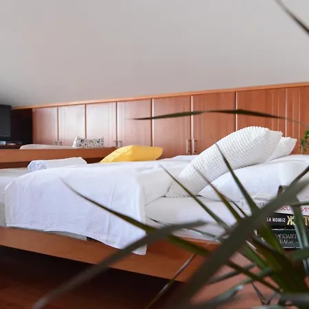 Success Luxury Apartman Zadar